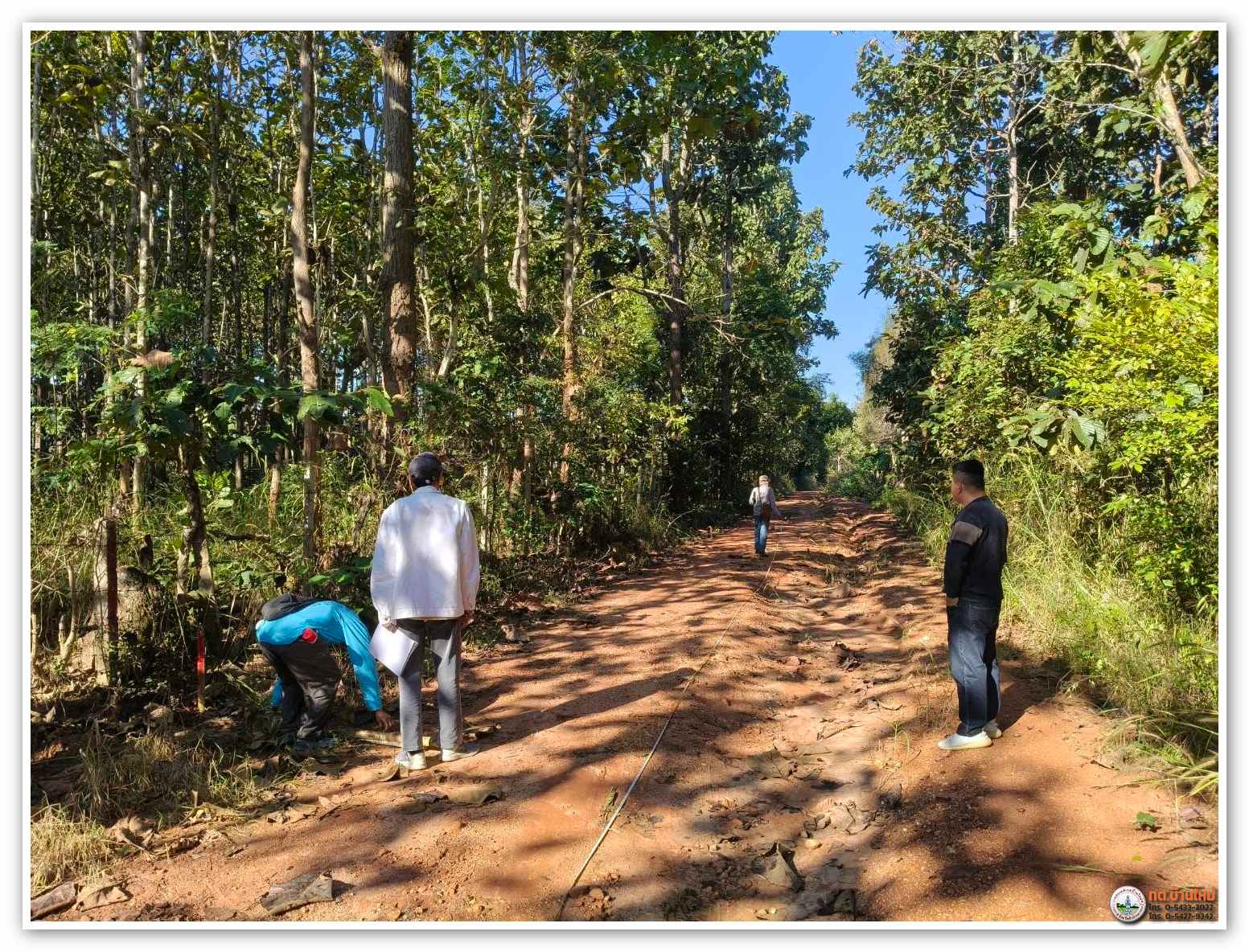 กิจกรรม