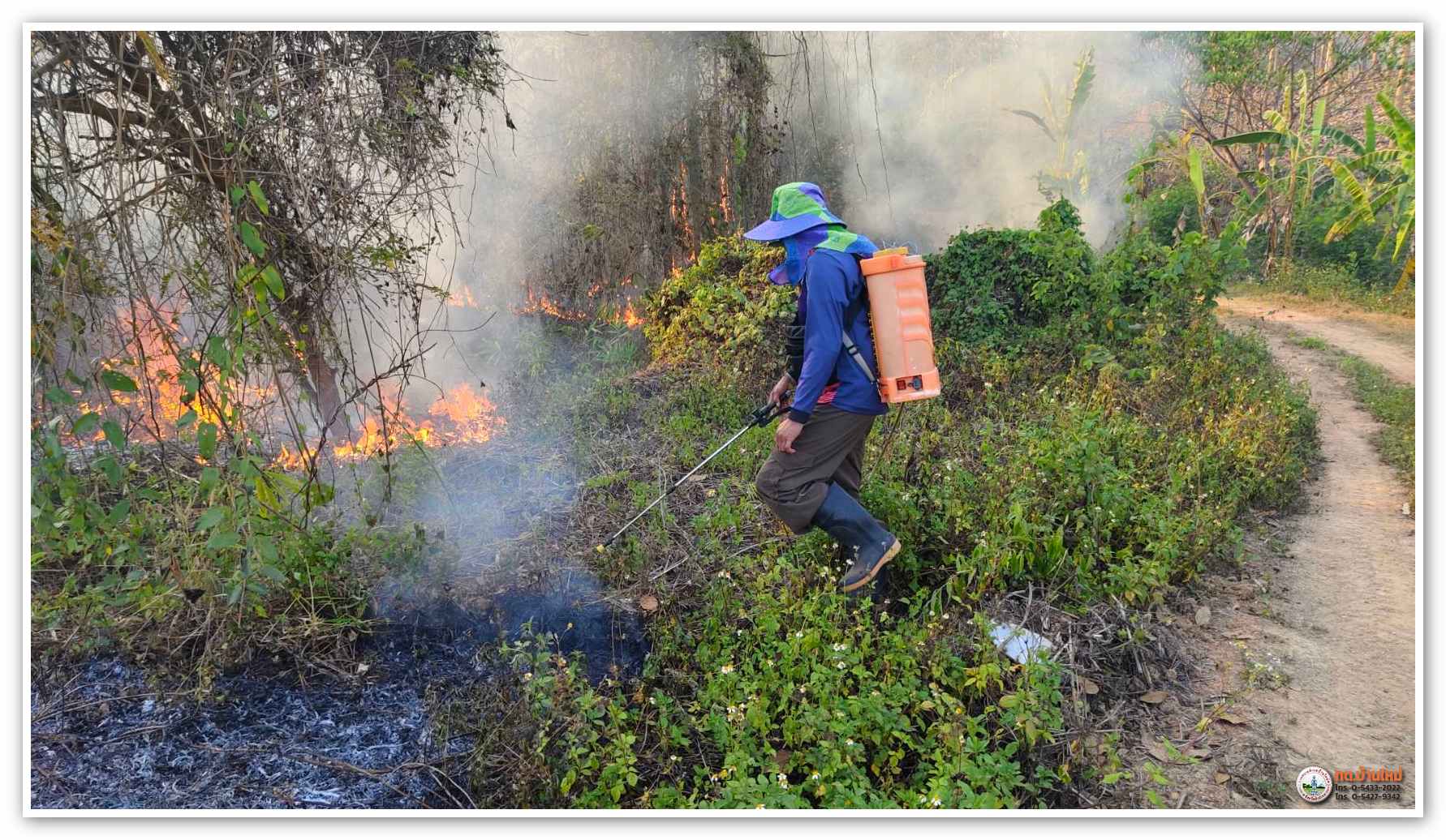 กิจกรรม