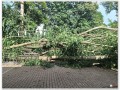 ขอผู้ที่ใช้ถนนด้านหน้าศาลเจ้าพญาวังขับขี่ด้วยความระมัดระวัง Image 1