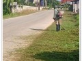 ตัดหญ้าและปรับภูมิทัศน์ ภายในเขตพื้นที่บ้านทัพป่าเส้า ... Image 1
