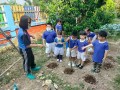 โครงการหนูน้อยรักผัก ศูนย์พัฒนาเด็กเล็กเทศบาลตำบลบ้านใหม่ Image 4