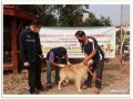 โครงการสัตว์ปลอดโรค คนปลอดภัย จากโรคพิษสุนัขบ้าฯ2566 Image 8